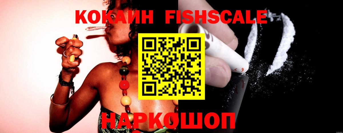 Городец  COCAIN Fish Scale  Вход с VPN  Cocaine 99% 