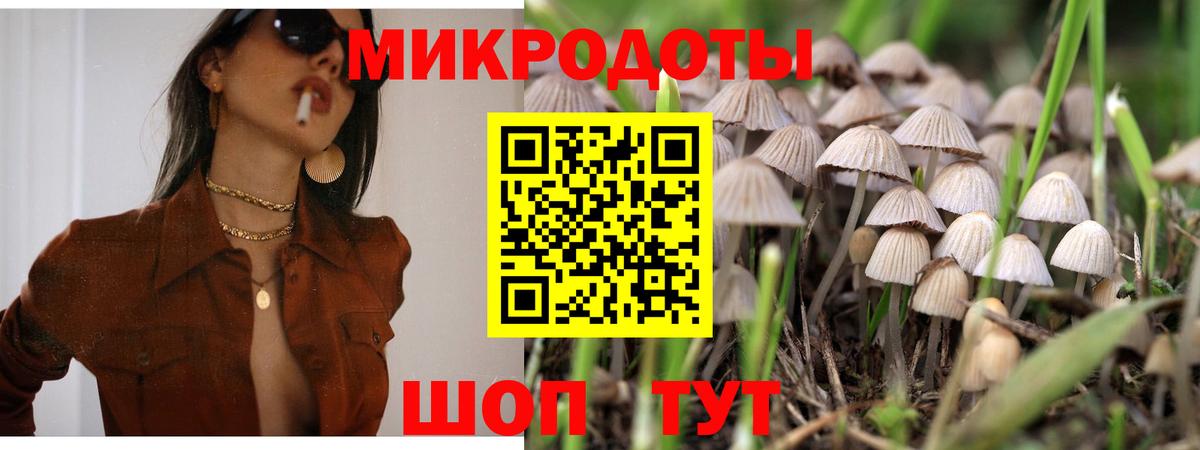 Галлюциногенные грибы Cubensis  Галлюциногенные грибы мицелий  Городец  Вход с VPN 