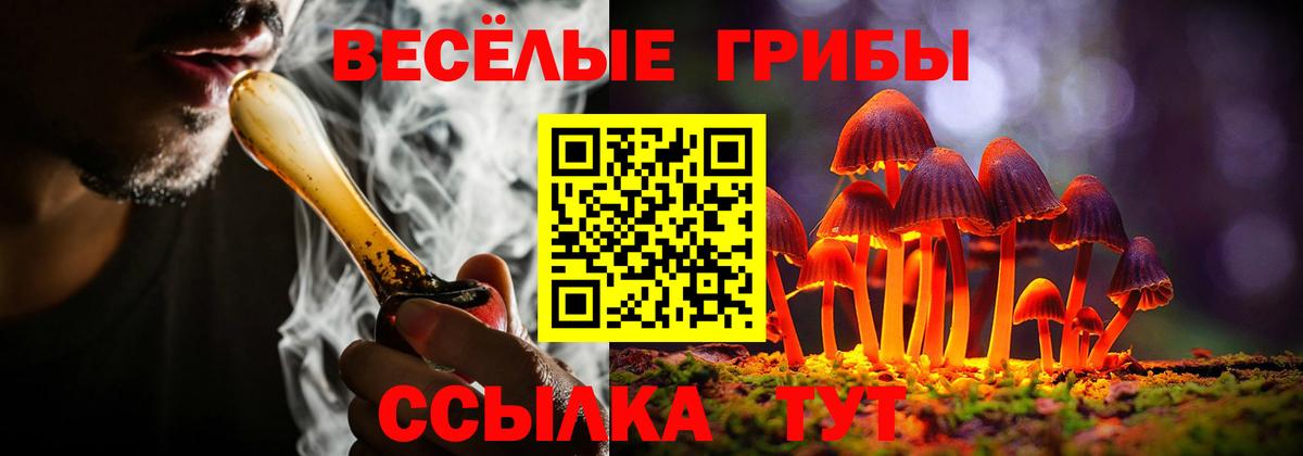 Галлюциногенные грибы MAGIC MUSHROOMS Городец